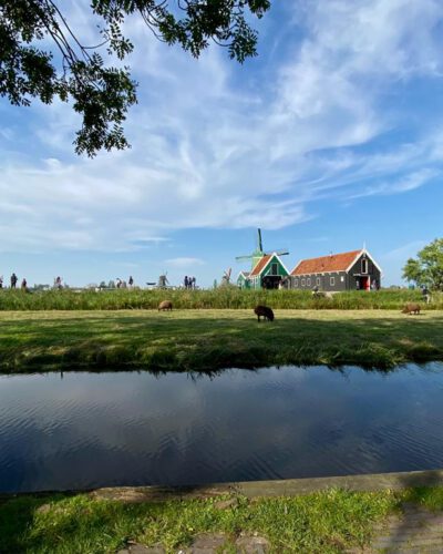 29949285-eea5-489d-b7f0-3927483963ed